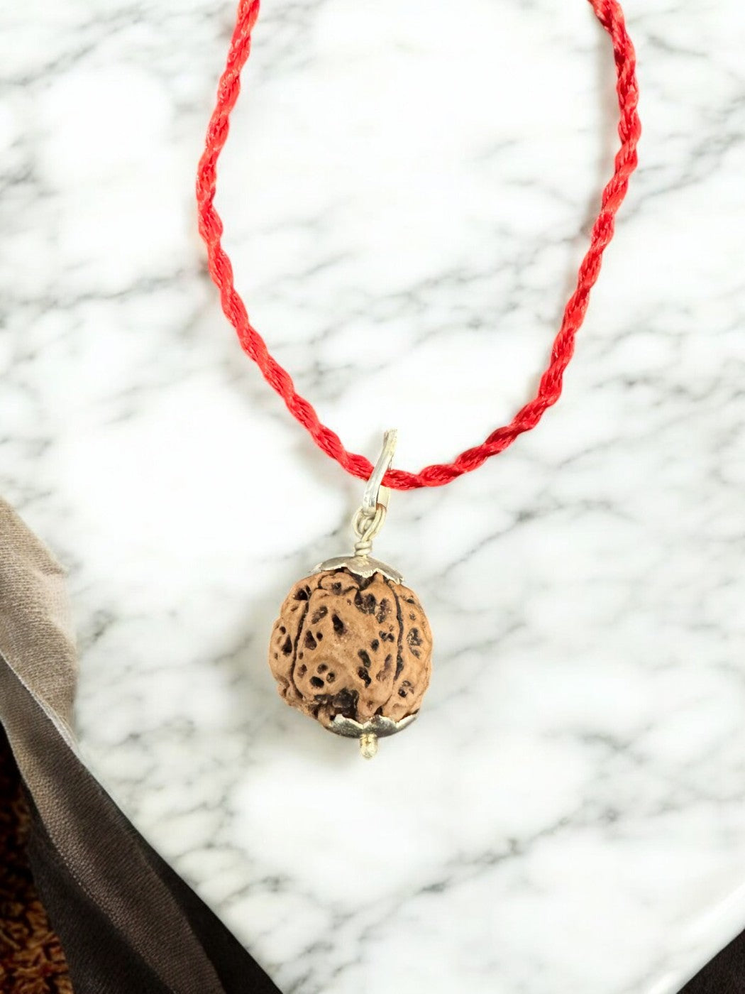 5 Mukhi Rudraksha Nepal Origin with Govt. Certification - 18mm - 22mm