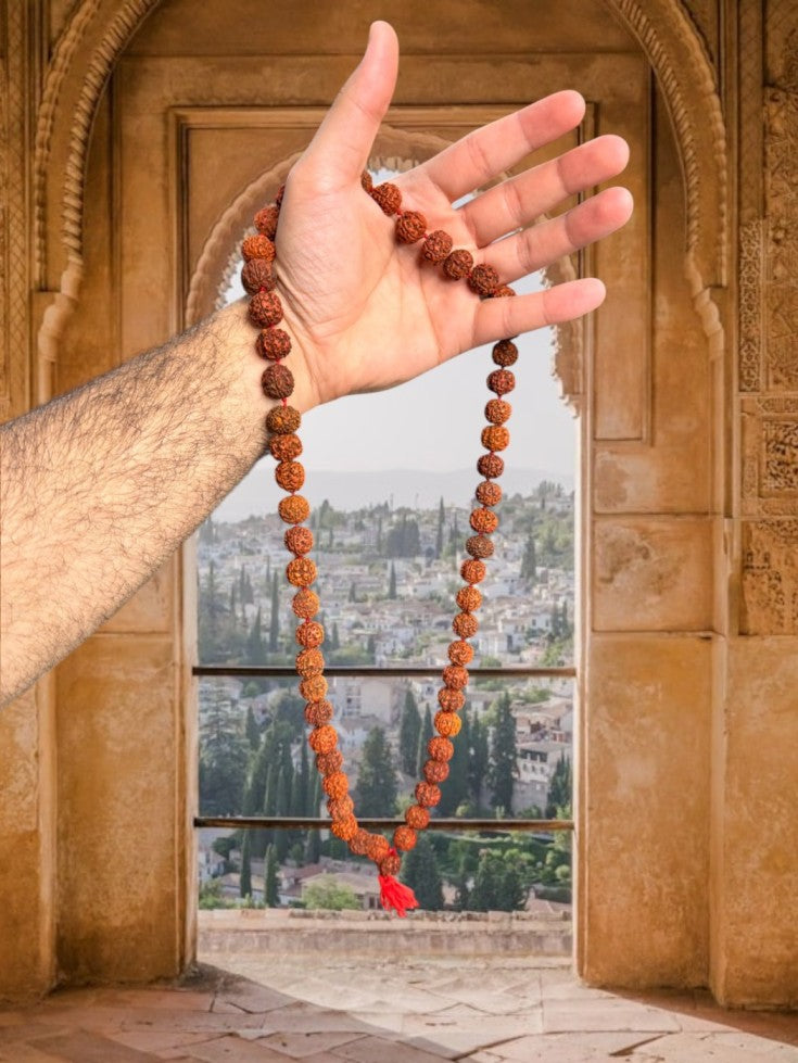 5 Mukhi Original Nepali Rudraksha Mala with Certification (Buy 1 Get 1 Free)