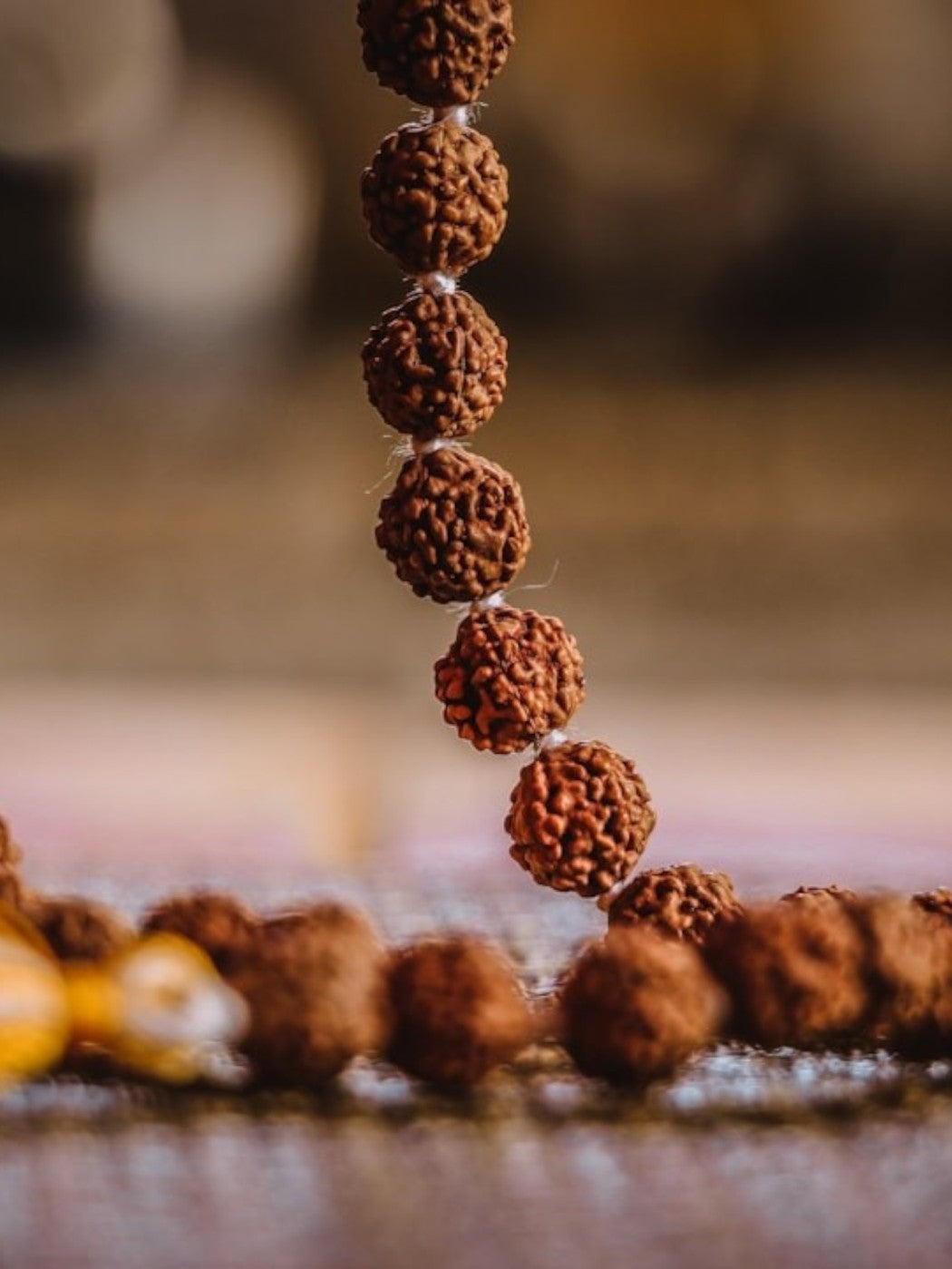 5 Mukhi Original Nepali Rudraksha Mala with Certification (Buy 1 Get 1 Free)