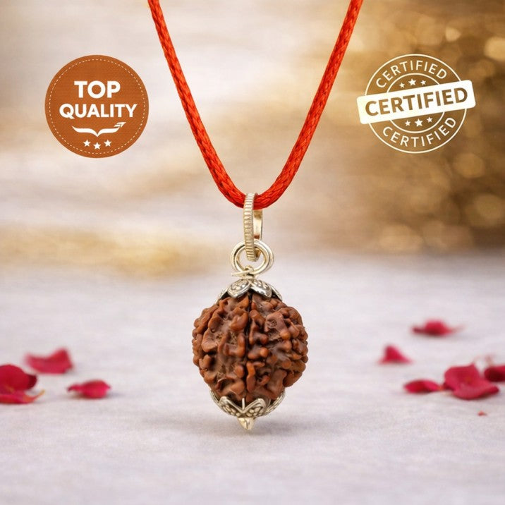 7 Mukhi Rudraksha Nepal Origin 18mm - 22mm Buy 1 Get 1 Free + Free Gifts